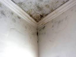 Best Residential Mold Inspection & Testing  in Rancho Cordova, CA