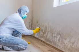 Best Airborne Mold Testing  in Rancho Cordova, CA